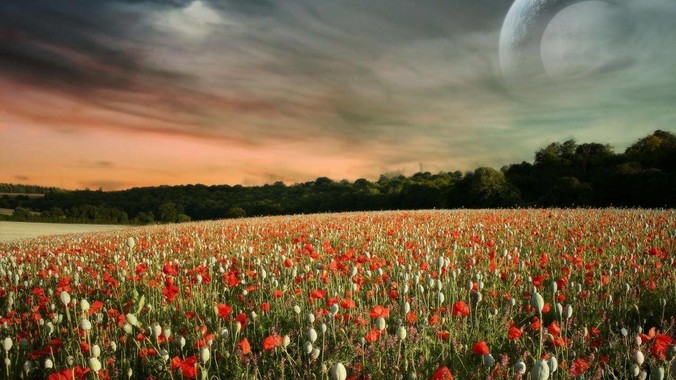 只是突然很好奇，已经造出了三艘航母，为何不能按照这样的模板，批量建造航母呢?